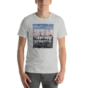 NYC 7th Inning Stretch t-shirt